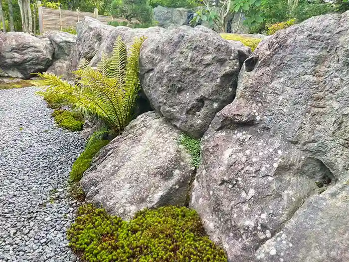 和風庭園の石と苔