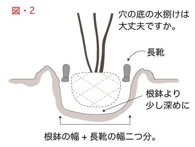 木の植え方で説明用の木の根と穴の堀方