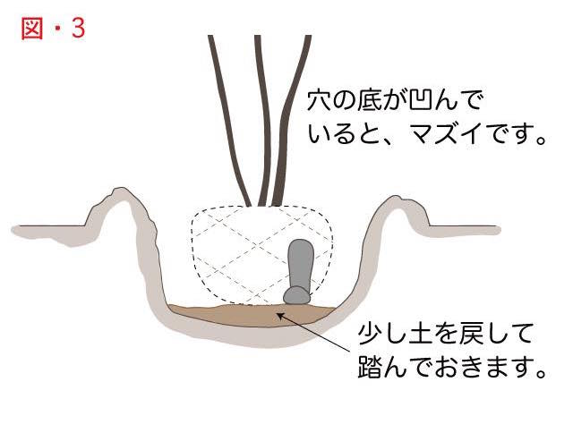 木の植え方で説明用の穴の底