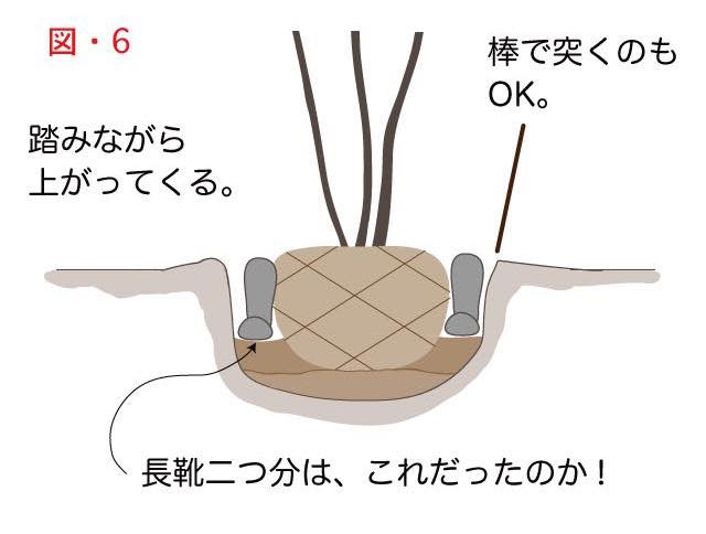 木の植え方で説明用の根に土を戻す様子