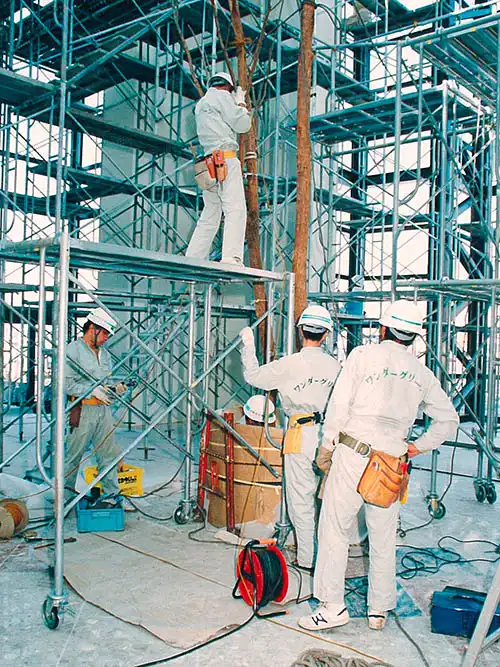 人工樹木ベンジャミン株立、現場にて設置の様子