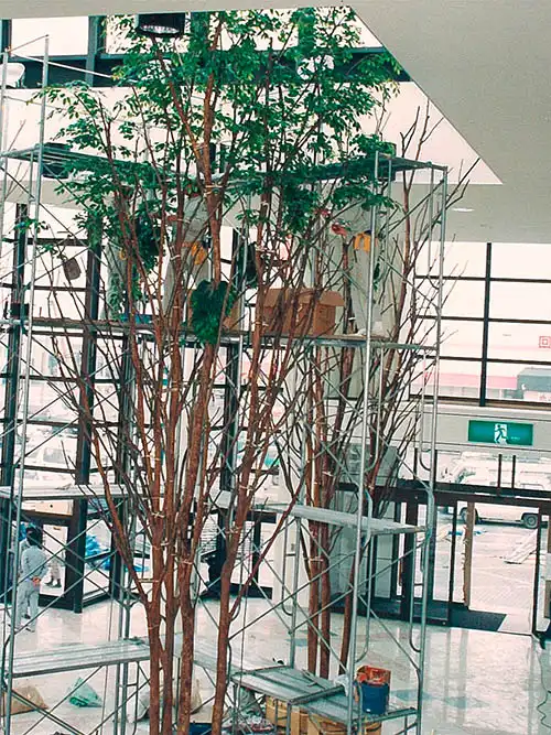 人工樹木ベンジャミン株立、現場にて足場を組み上の方から葉材をつけている様子
