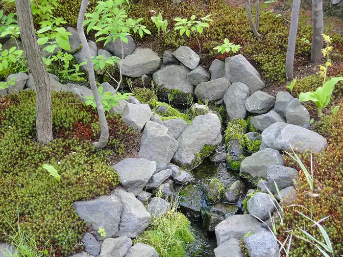 深い山の源流を再現したような雰囲気の庭