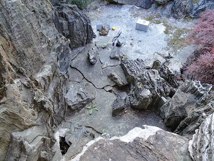 池改修工事前の様子