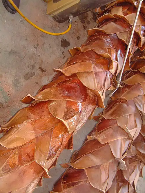 人工樹木ヤシの木樹皮貼り付け後、難燃剤処理している様子