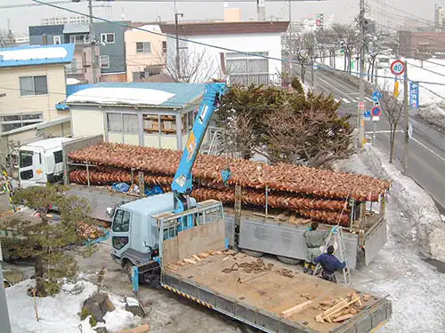 人工樹木ヤシの木を、現場搬入の為トレーラーに積み込んでいる様子