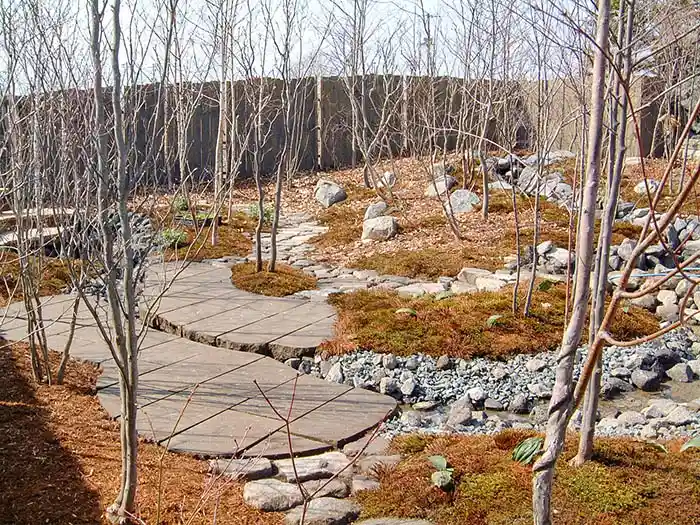 ビオガーデンの芽吹きの前