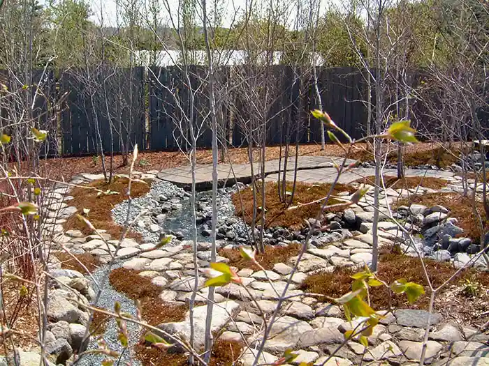 ビオガーデンの石畳