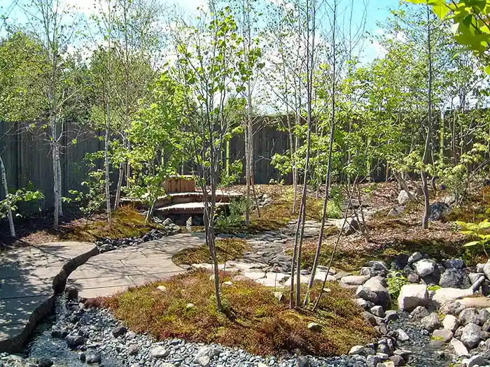 ビオガーデンの流れ