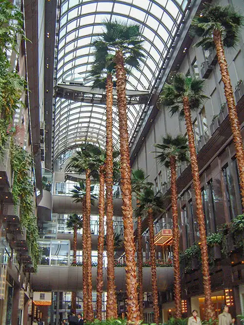 人工樹木ヤシの木設置完了の様子