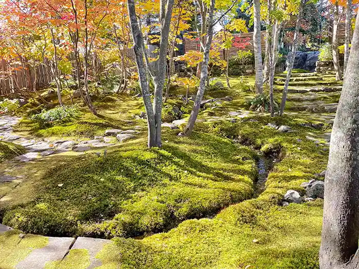 ビオガーデンの小川