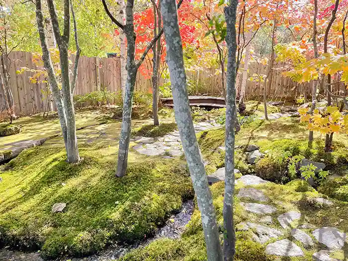 ビオガーデンの流れ