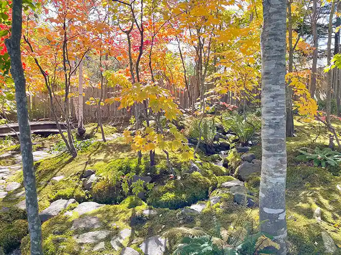 ビオガーデンの苔と小川