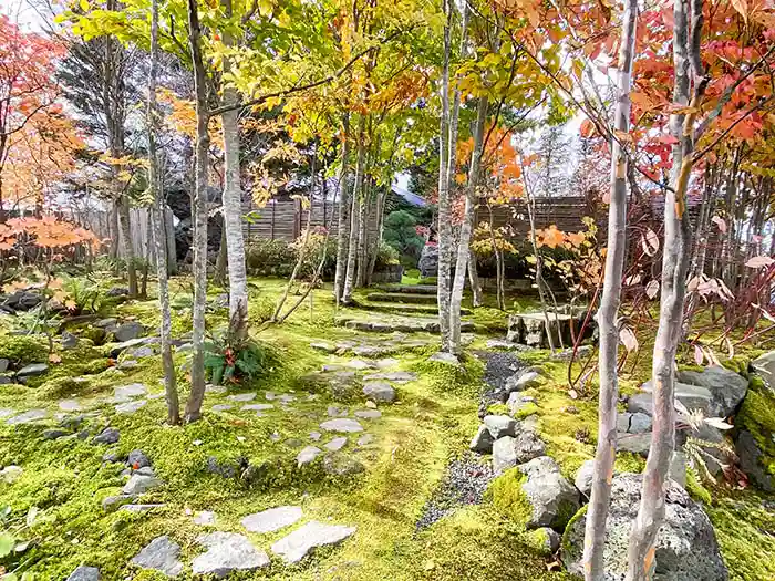 ビオガーデンの苔の階段