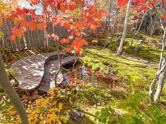 ビオガーデンの池とデッキ