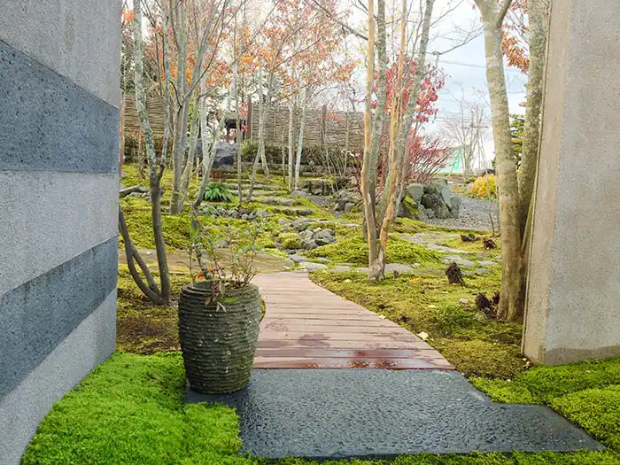 苔庭からビオガーデンを見る