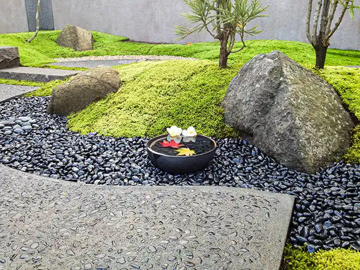 苔庭の園路と水鉢