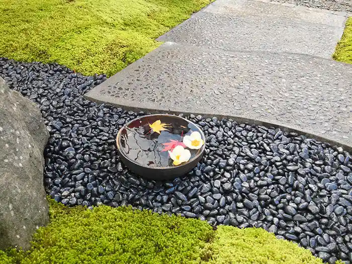 水鉢と洗い出し