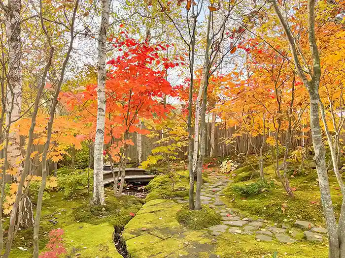 ビオガーデンの雑木の紅葉