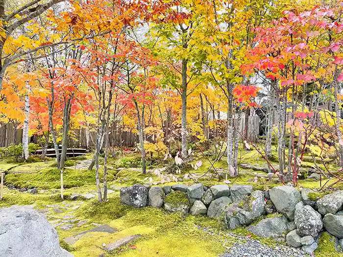 ビオガーデンの石積み