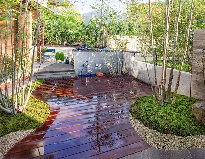 モダン和風の庭、雑木と広い園路