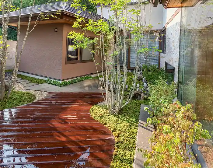 モダン和風の庭、雑木と園路