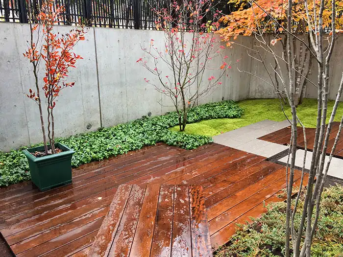 雑木と苔とグランドカバー