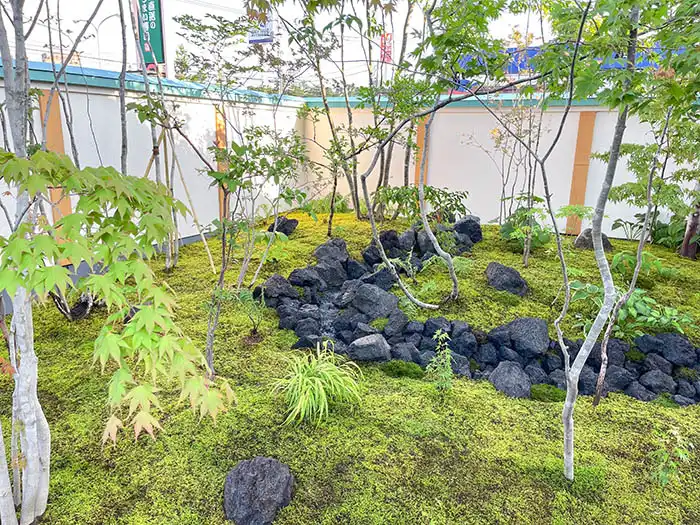 ビオガーデン完成後、流れの上流部分の様子