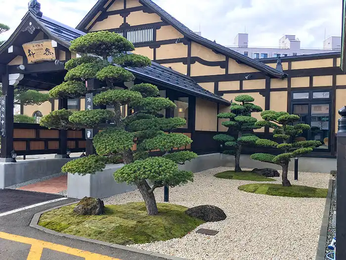 松を組み合わせた庭