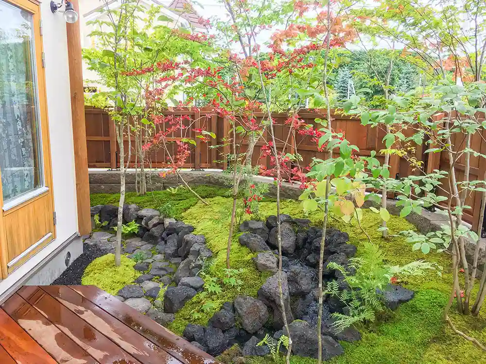 ビオガーデンの小川