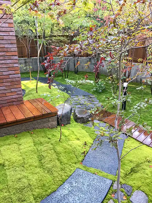 モダン和風の庭、曲線の園路