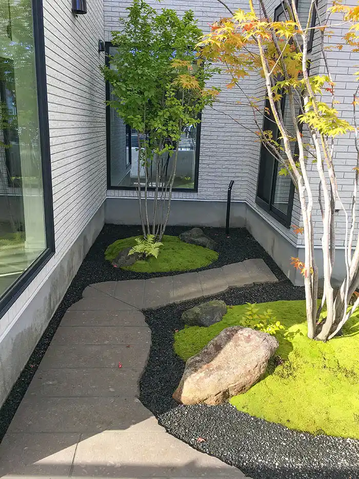 シンプルな中庭、モミジとアオハダ