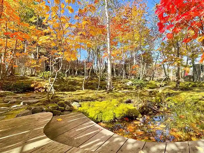 ビオガーデンの池