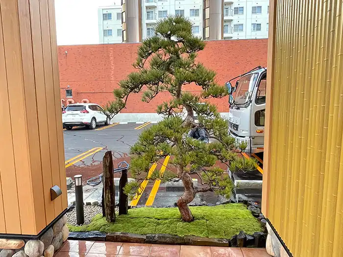 天目松と六方石