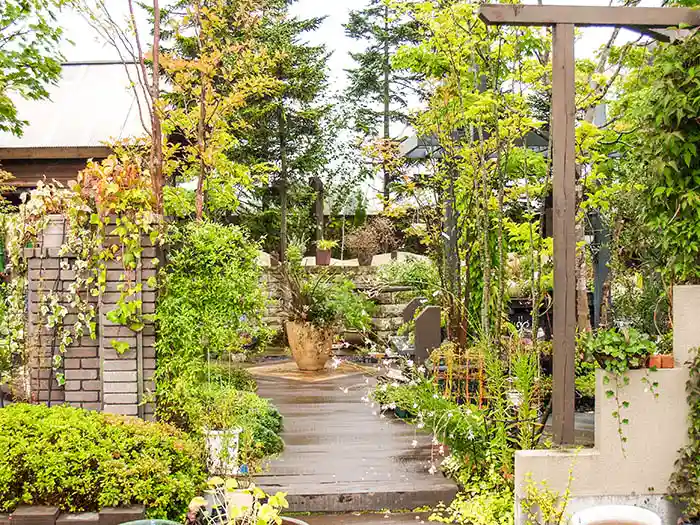 ガーデニングコーナー内の木