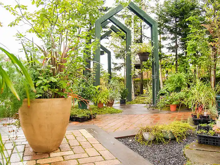 アレンジメント