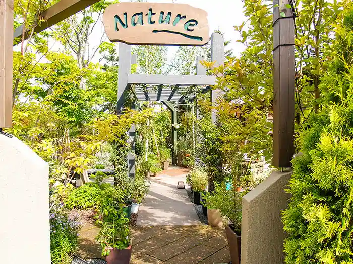 ガーデニングコーナーの草花