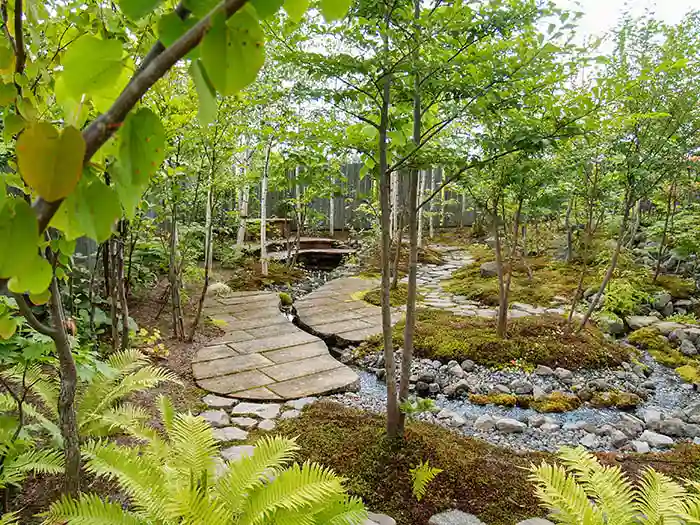 ビオガーデンの樹木の芽吹き