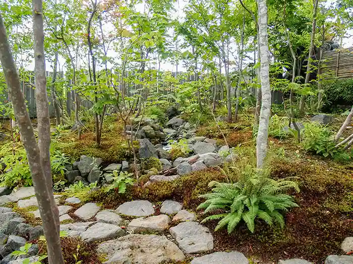 ビオガーデンの山野草